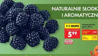Biedronka Jeżyna polska, opak. 125 g oferta