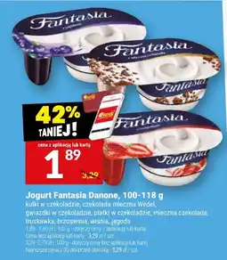 Twój Market Jogurt Fantasia Danone oferta