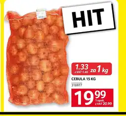 Selgros Cebula Hit oferta