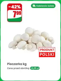 Dino Pieczarka świeża polska oferta