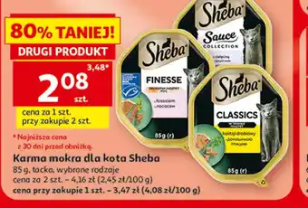 Mokra karma dla kota Sheba