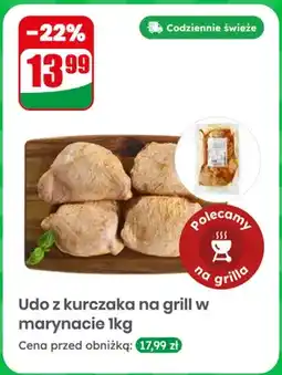 Dino Udo z kurczaka na grill w marynacie oferta