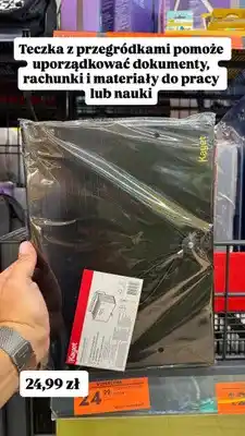Biedronka Teczka z przegródkami A4 Kayet oferta