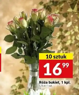 Twój Market Róża bukiet oferta