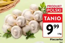 Intermarche Pieczarka luz oferta