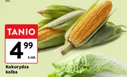 Intermarche Kukurydza kolba oferta