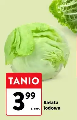 Intermarche Sałata lodowa oferta