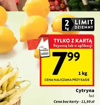 Intermarche Cytryna luz oferta