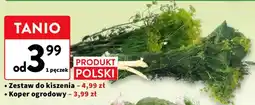 Intermarche Zestaw do kiszenia oferta