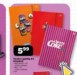 Netto Teczka Interdruk oferta