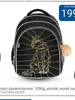 Smyk Tornister ergonomiczny premium dwukomorowy 1050 g Kayokki złoty kot oferta
