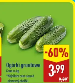 ALDI Ogórki oferta