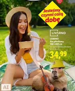 Lidl Koc Livarno oferta