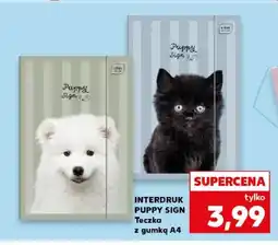 Kaufland Teczka z gumką A4 Interdruk Puppy Sign oferta