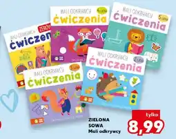 Kaufland Książka Mali odkrywcy ćwiczenia 2-latka Zielona Sowa oferta