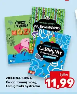 Kaufland Książka Łamigłówki bystrzaka Labirynty Zielona Sowa oferta
