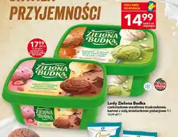 Lewiatan Lody zielona budka oferta