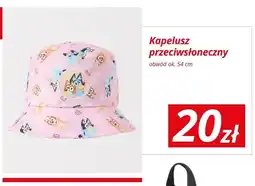KiK Kapelusz przeciwsłoneczny Bluey oferta