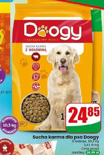 Dino Sucha karma dla psa Doogy oferta