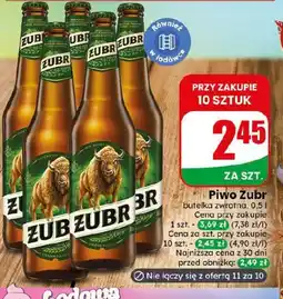 Dino Piwo Żubr oferta