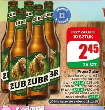 Dino Piwo Żubr oferta