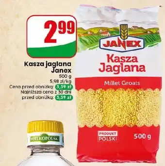 Dino Kasza jaglana Janex oferta