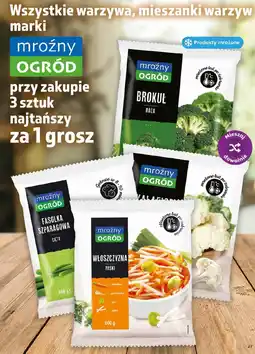 Dino Wszystkie warzywa, mieszanki warzyw marki mroźny OGRÓD oferta