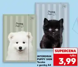 Kaufland Interdruk Puppy Sign Teczka z gumką A4 oferta