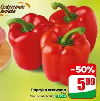 Dino Papryka czerwona oferta