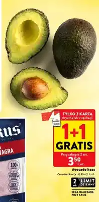 Intermarche Awokado hass oferta
