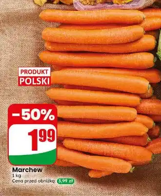 Dino Marchew polska oferta
