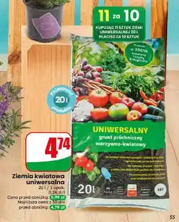 Dino Ziemia kwiatowa uniwersalna oferta