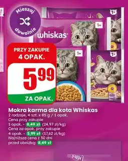Dino Mokra karma dla kota Whiskas z kurczakiem 4-pak oferta