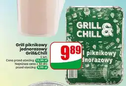 Dino Grill piknikowy jednorazowy Grill&Chill oferta