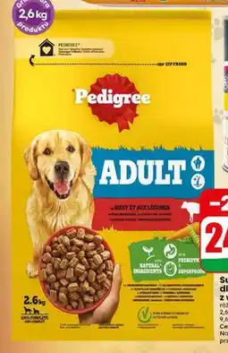 Dino Sucha karma dla psa z wołowiną Pedigree Adult oferta
