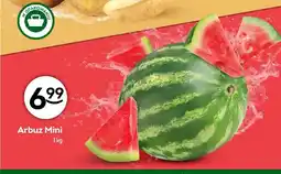 Żabka Arbuz mini oferta