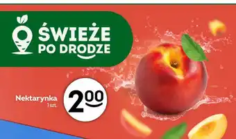 Żabka Nektarynka oferta