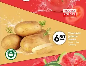 Żabka Ziemniaki jadalne siatka oferta