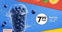 Żabka Borówka polska oferta