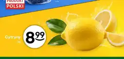 Żabka Cytryny oferta