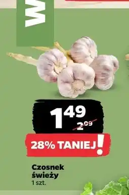 Netto Czosnek świeży oferta