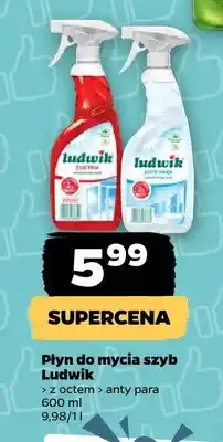 Netto Płyn do mycia szyb Ludwik anty para oferta