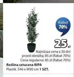 JYSK Roślina sztuczna RIPA oferta