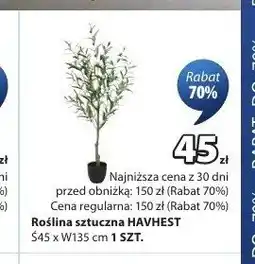 JYSK Roślina sztuczna HAVHEST oferta