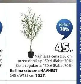 Roślina sztuczna HAVHEST