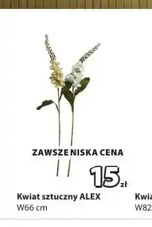 JYSK Kwiat sztuczny ALEX oferta
