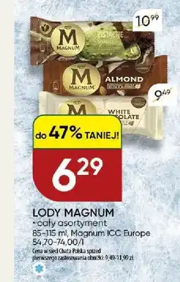 Chata Polska Lody Magnum oferta