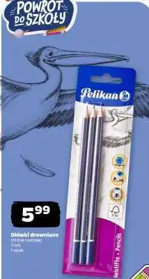 Netto Ołówki drewniane Pelikan oferta