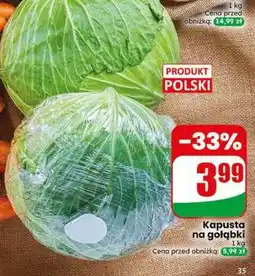 Dino Kapusta na gołąbki oferta