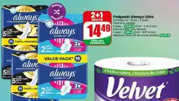 Dino Podpaski Always Ultra oferta